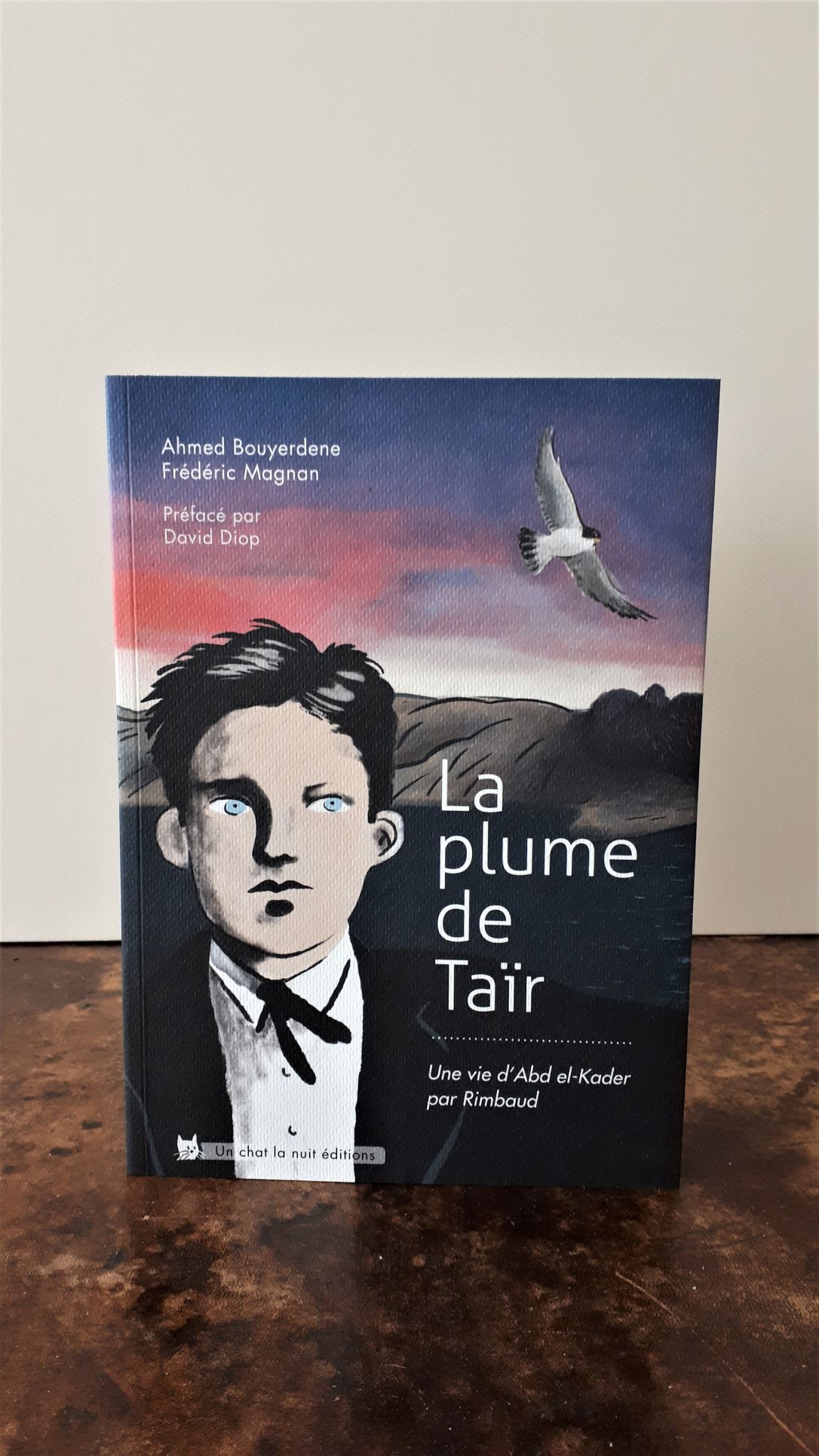 La plume de Taïr